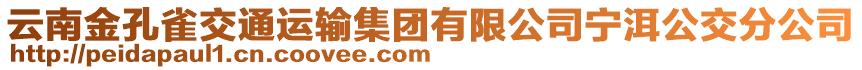 云南金孔雀交通運(yùn)輸集團(tuán)有限公司寧洱公交分公司