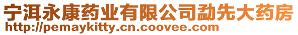 寧洱永康藥業(yè)有限公司勐先大藥房