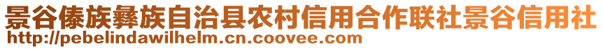 景谷傣族彝族自治縣農(nóng)村信用合作聯(lián)社景谷信用社