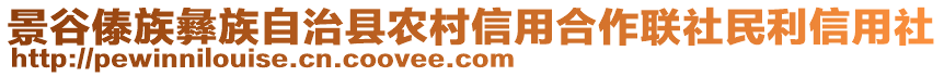 景谷傣族彝族自治縣農村信用合作聯社民利信用社
