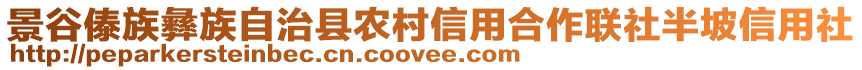 景谷傣族彝族自治縣農(nóng)村信用合作聯(lián)社半坡信用社