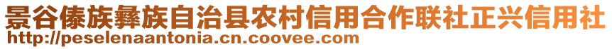 景谷傣族彝族自治縣農(nóng)村信用合作聯(lián)社正興信用社