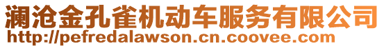 瀾滄金孔雀機動車服務有限公司