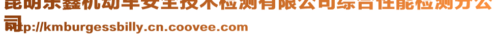 昆明東鑫機(jī)動(dòng)車安全技術(shù)檢測(cè)有限公司綜合性能檢測(cè)分公
司