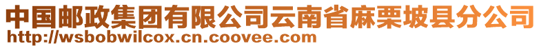 中国邮政集团有限公司云南省麻栗坡县分公司