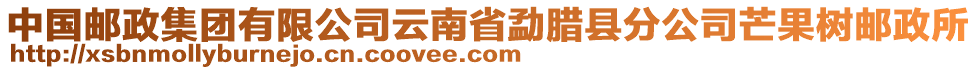 中國郵政集團(tuán)有限公司云南省勐臘縣分公司芒果樹郵政所