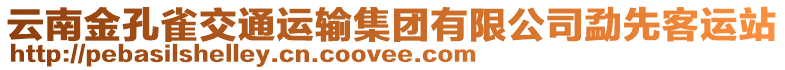 云南金孔雀交通運輸集團有限公司勐先客運站