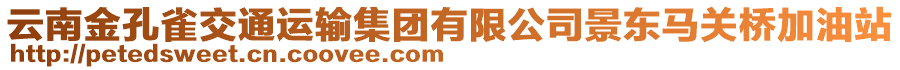 云南金孔雀交通運輸集團(tuán)有限公司景東馬關(guān)橋加油站