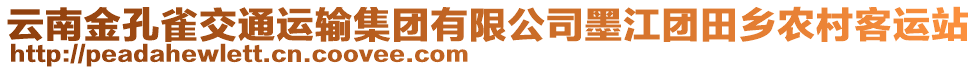 云南金孔雀交通運輸集團有限公司墨江團田鄉(xiāng)農村客運站