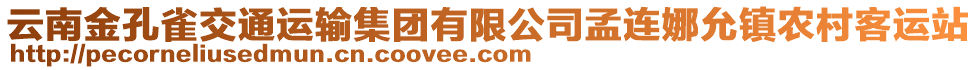 云南金孔雀交通運輸集團(tuán)有限公司孟連娜允鎮(zhèn)農(nóng)村客運站