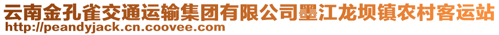 云南金孔雀交通运输集团有限公司墨江龙坝镇农村客运站