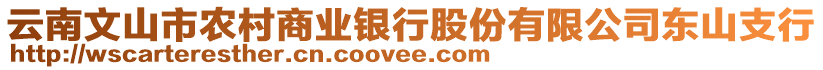 云南文山市農(nóng)村商業(yè)銀行股份有限公司東山支行