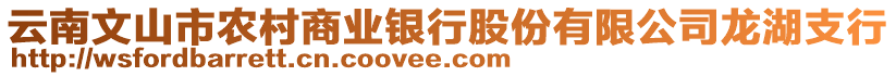 云南文山市農(nóng)村商業(yè)銀行股份有限公司龍湖支行