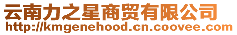 云南力之星商貿有限公司