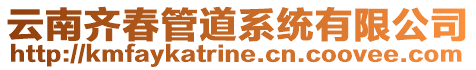 云南齊春管道系統(tǒng)有限公司