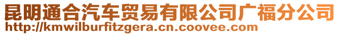 昆明通合汽車貿易有限公司廣福分公司