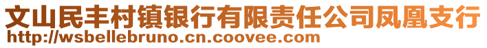 文山民丰村镇银行有限责任公司凤凰支行