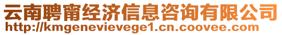 云南聘甯經濟信息咨詢有限公司
