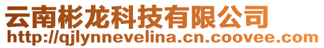 云南彬龍科技有限公司
