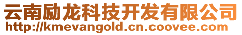 云南勵(lì)龍科技開發(fā)有限公司