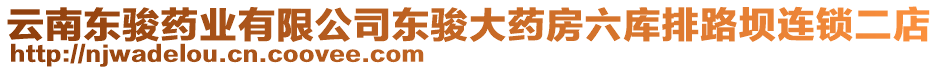 云南東駿藥業(yè)有限公司東駿大藥房六庫排路壩連鎖二店