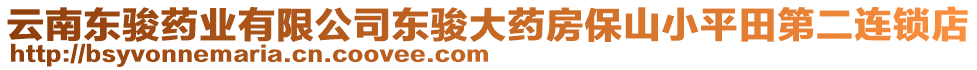 云南東駿藥業(yè)有限公司東駿大藥房保山小平田第二連鎖店