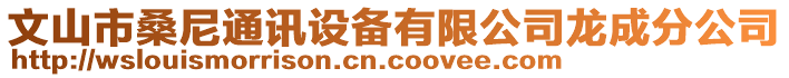 文山市桑尼通訊設(shè)備有限公司龍成分公司