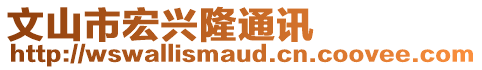 文山市宏興隆通訊