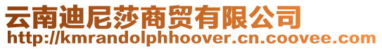 云南迪尼莎商貿(mào)有限公司
