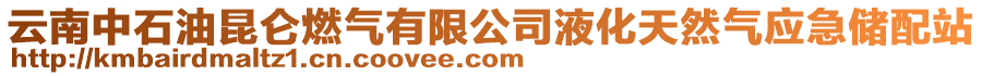 云南中石油昆侖燃?xì)庥邢薰疽夯烊粴鈶?yīng)急儲配站