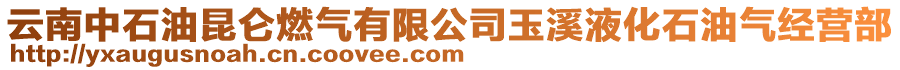 云南中石油昆侖燃?xì)庥邢薰居裣夯蜌饨?jīng)營部