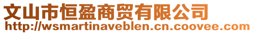 文山市恒盈商貿(mào)有限公司