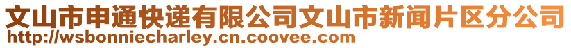 文山市申通快遞有限公司文山市新聞片區(qū)分公司