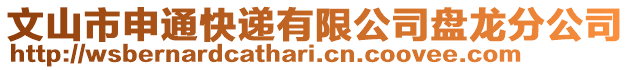 文山市申通快遞有限公司盤龍分公司