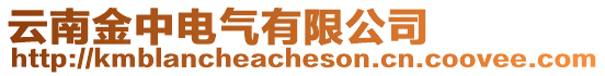云南金中電氣有限公司