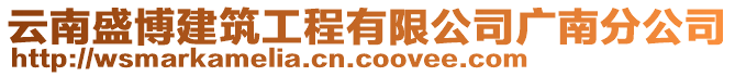 云南盛博建筑工程有限公司广南分公司