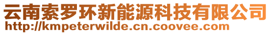 云南索罗环新能源科技有限公司