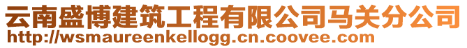 云南盛博建筑工程有限公司馬關(guān)分公司