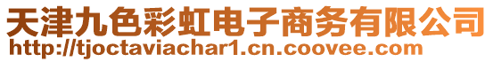 天津九色彩虹電子商務有限公司