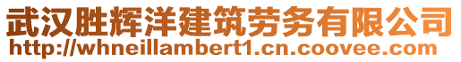 武漢勝輝洋建筑勞務有限公司