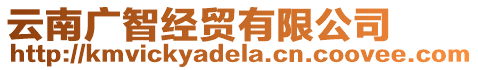 云南廣智經(jīng)貿(mào)有限公司