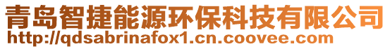 青島智捷能源環(huán)保科技有限公司