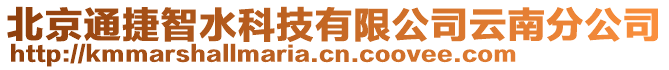 北京通捷智水科技有限公司云南分公司