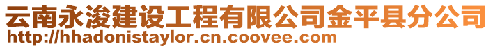 云南永浚建設工程有限公司金平縣分公司