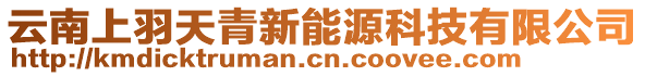 云南上羽天青新能源科技有限公司