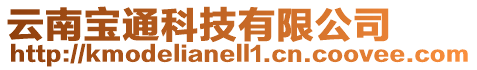 云南寶通科技有限公司