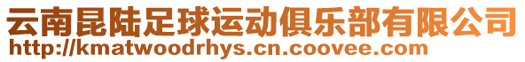 云南昆陸足球運動俱樂部有限公司