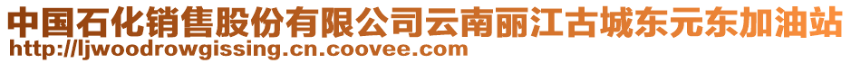 中國(guó)石化銷售股份有限公司云南麗江古城東元東加油站