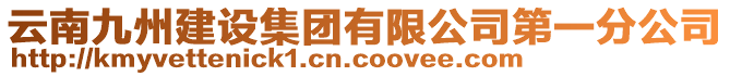 云南九州建設集團有限公司第一分公司