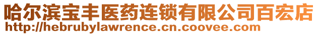 哈爾濱寶豐醫(yī)藥連鎖有限公司百宏店